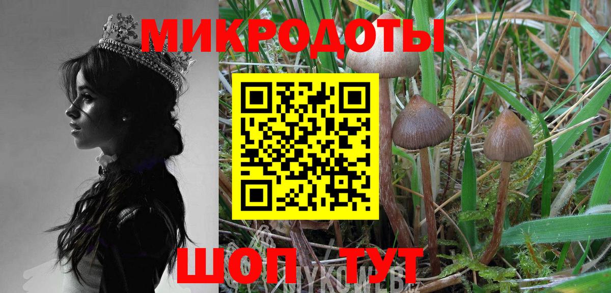 Галлюциногенные грибы Cubensis Джанкой