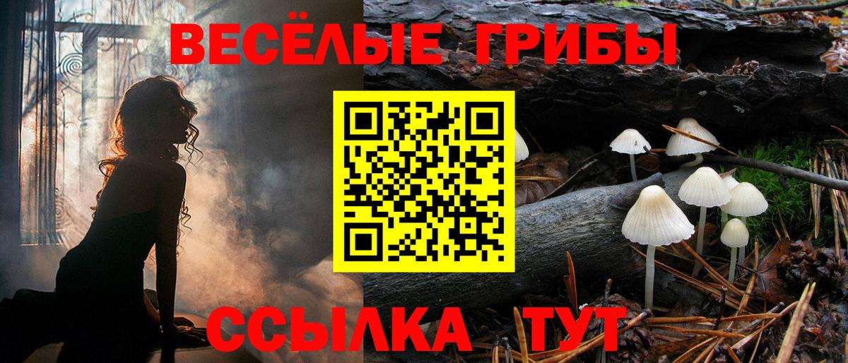 Галлюциногенные грибы MAGIC MUSHROOMS  Псилоцибиновые грибы MAGIC MUSHROOMS  Джанкой  Вход с VPN 